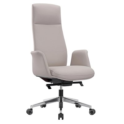 Biomechanic Task Alpine — Executive Series by Ergon Xlu