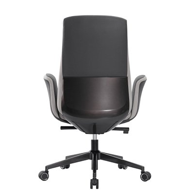 Biomechanic Task Alpine view 5
