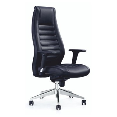 Meridian Executive Chair — Executive Series by Ergon Xlu