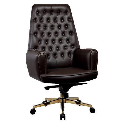 Apex Minimalist Chair — Executive Series by Ergon Xlu