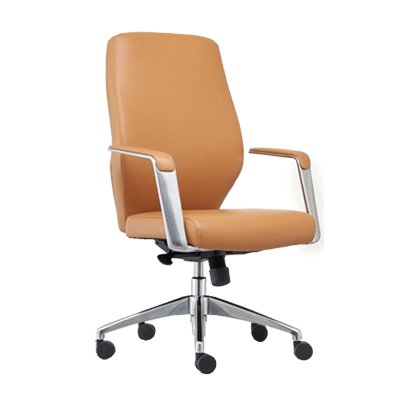 Lumbar-Focus Mesh Executive view 3