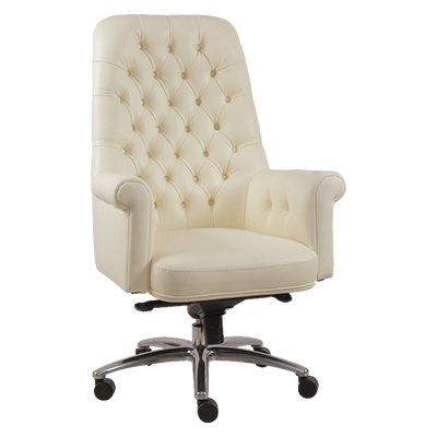 Catalyst Executive Chair — Executive Series by Ergon Xlu
